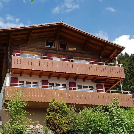 Chalet Blatti ฮาลสิแบร์ก ภายนอก รูปภาพ
