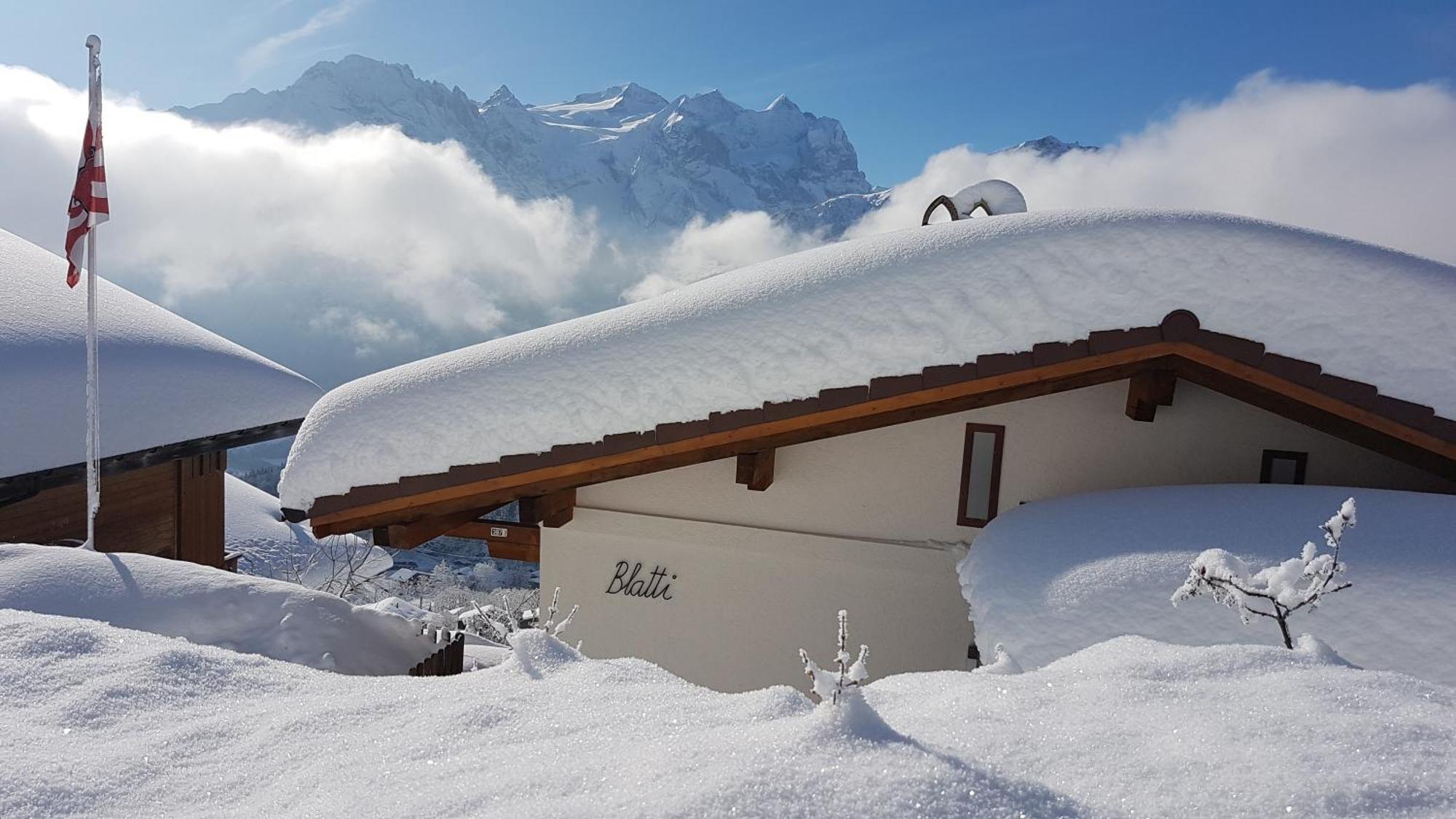 Chalet Blatti ฮาลสิแบร์ก ห้อง รูปภาพ