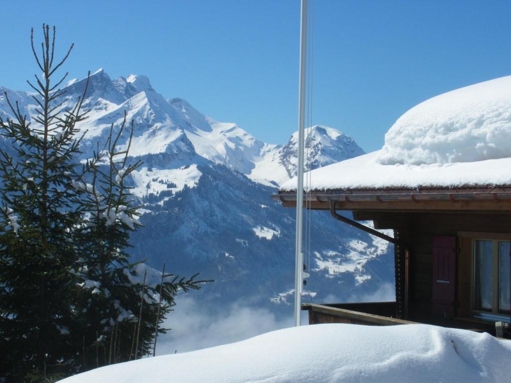 Chalet Blatti ฮาลสิแบร์ก ภายนอก รูปภาพ